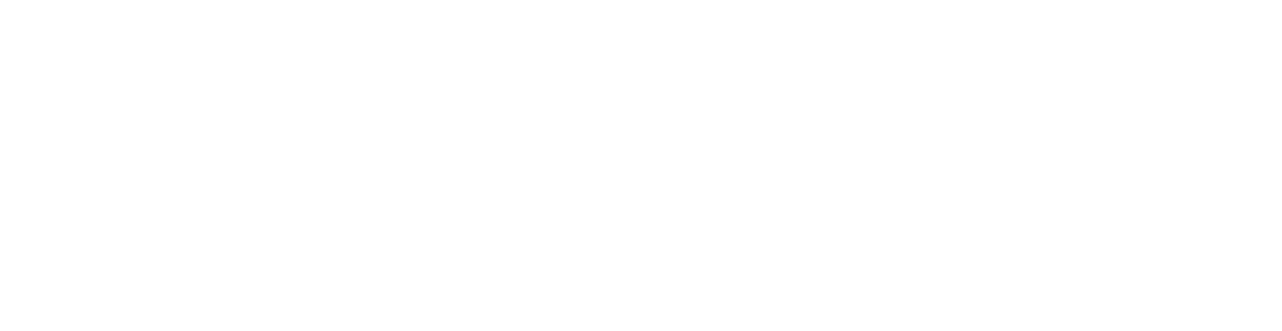 TheRANDI Logo